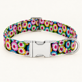 Collier pour chien réglable floral