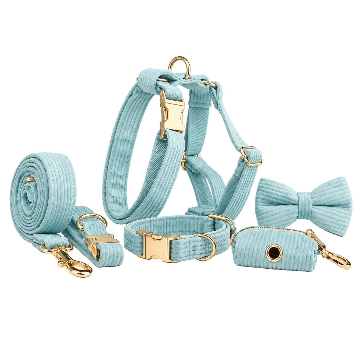 Kit complet de promenade pour chien en velours côtelé