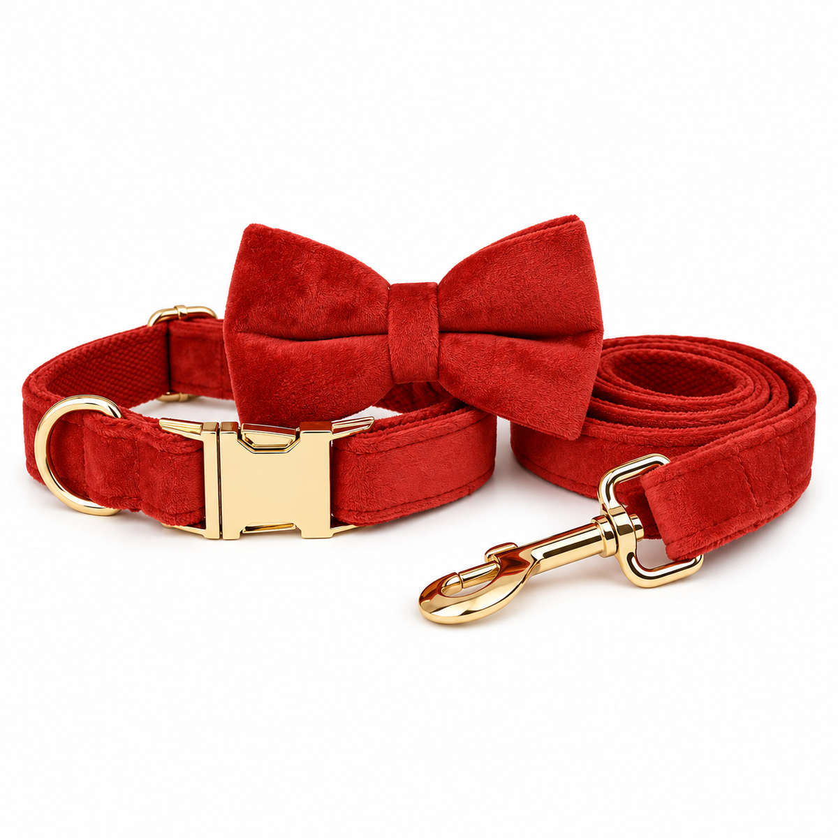 Ensemble laisse et collier avec nœud pour chien rouge doré, finitions dorées, sur fond blanc