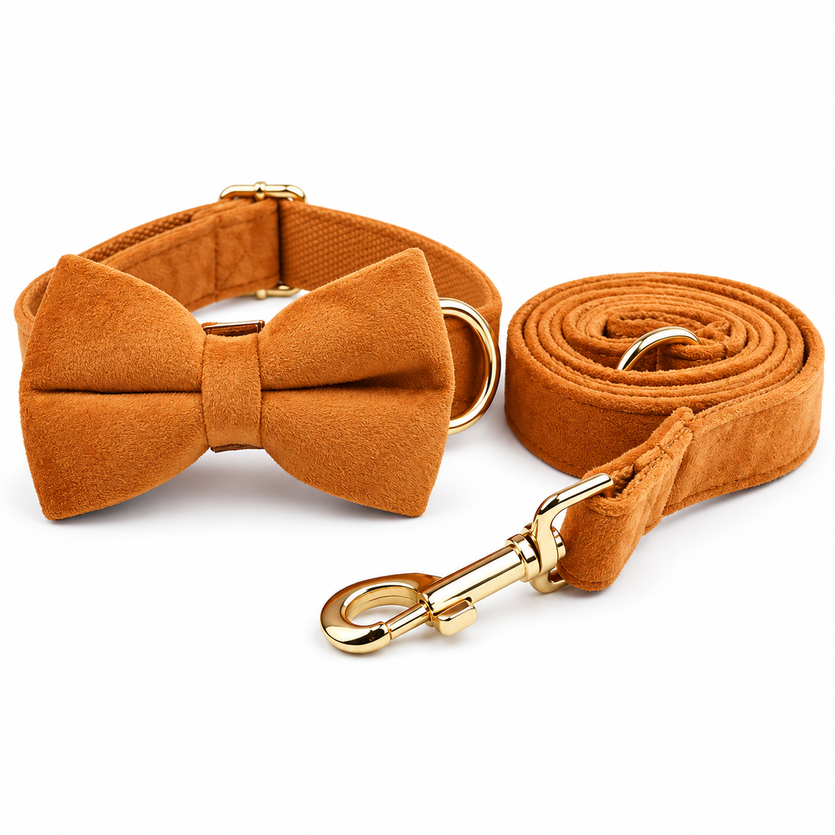 Ensemble laisse et collier avec nœud pour chien orange, finitions dorées, sur fond blanc